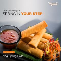 Vegetable spring rolls (Handi)
